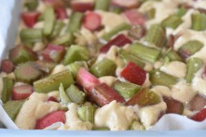 Rabarberkage nem frugtkage med rabarber