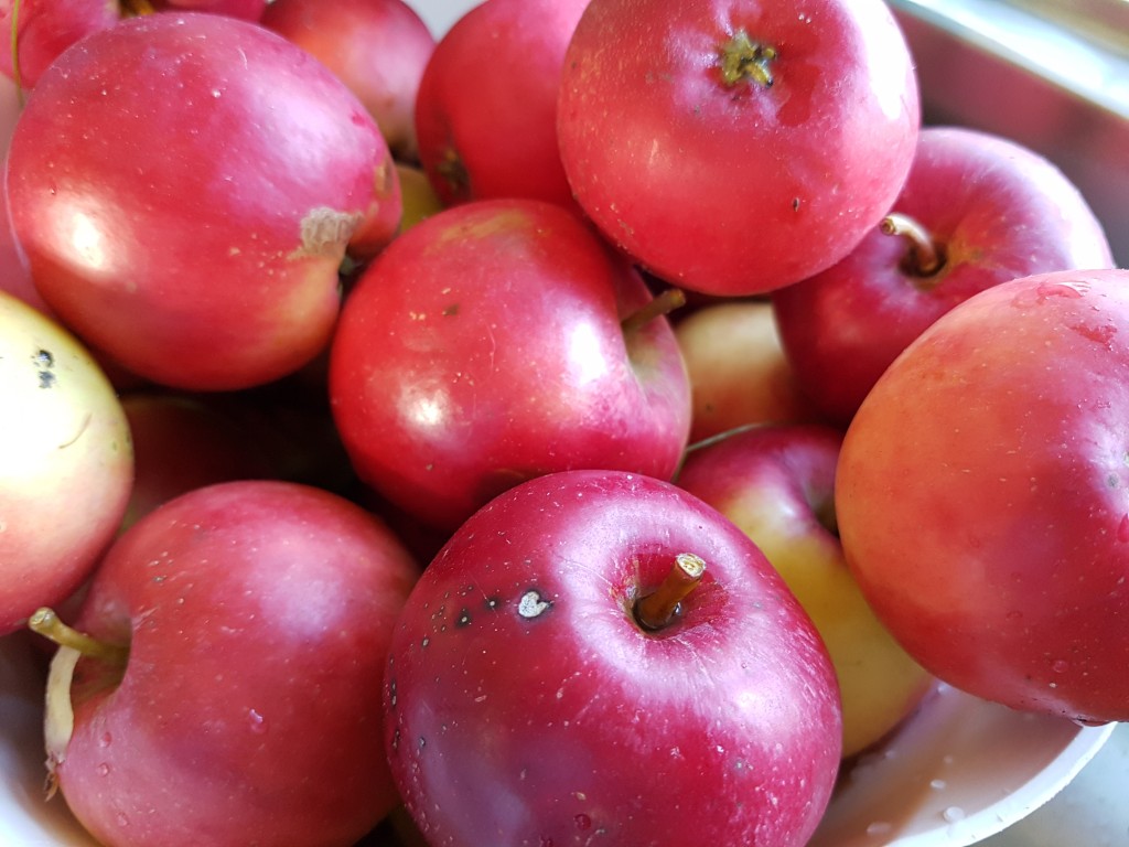 Æblekage og æblemos af æbler med skræl - nem og lækker