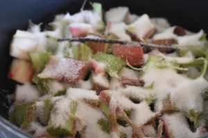 Rabarbermarmelade med vanilje - nem og lækker