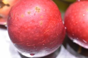 Krydderkage med æbler - nem æble ølkage 