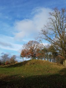 At blive 50 - stress eller tilfreds?