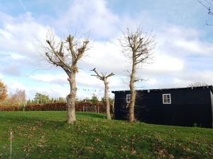 Sommerhus i juleferien