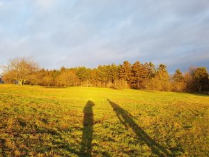 2018-12-28 14.55.46 • nogetiovnen.dk Skygger i solskin