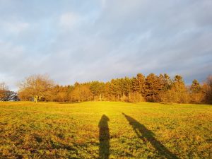 2018-12-28 14.55.52 • nogetiovnen.dk Skygger i solskin