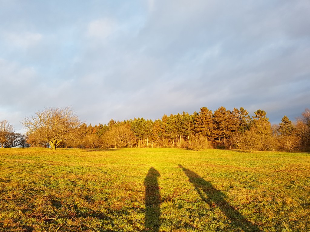 2018-12-28 14.55.52 • nogetiovnen.dk