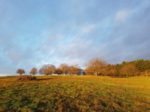 2018-12-28 14.55.57 • nogetiovnen.dk Natur og solskin