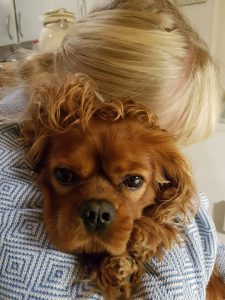 Sommerhus om vinteren - en lykkelig hilsen