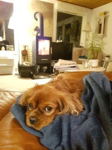 Sommerhus om vinteren - en lykkelig hilsen