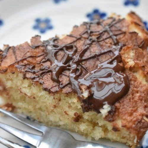 Kage med kokos og chokolade - nem kokoskage