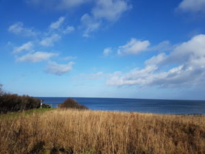 Forårsfornemmelser - som køer på græs