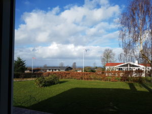 Forårsfornemmelser - som køer på græs