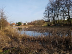 På tur til Gjerrild. Sangstrup & Karlby Klint