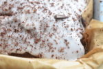 DSC_0656 • nogetiovnen.dk Chokoladekage med kaffe - nem opskrift på svampet chokoladekage
