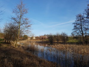 Grumme tandhistorier - besøg hos tandlægen