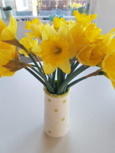 Weekend og getaways til sommerhuset