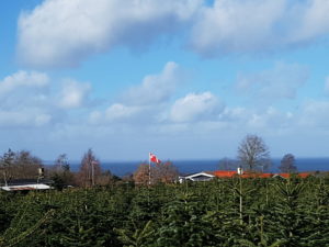 Weekend og getaways til sommerhuset