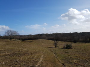 Weekend og getaways til sommerhuset