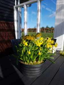 Weekend og getaways til sommerhuset