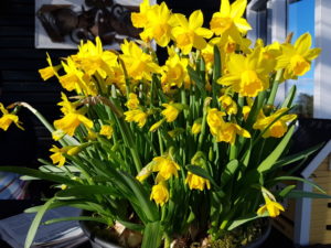 Weekend og getaways til sommerhuset