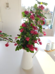 Påskeglimt fra sommerhuset 