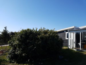 Påskeglimt fra sommerhuset 