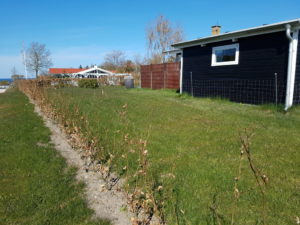 Påskeglimt fra sommerhuset 