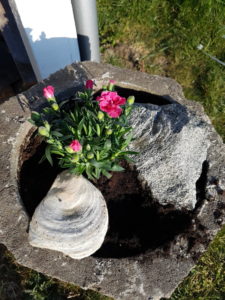 Påskeglimt fra sommerhuset 