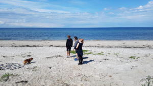 Sommerfest og kærlighed - fest for Amanda