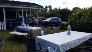 Sommerfest og kærlighed - fest for Amanda