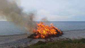 Sommerfest og kærlighed - fest for Amanda