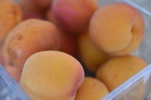 Abrikostærte - nem kage med friske abrikoser