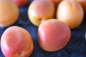 Abrikostærte - nem kage med friske abrikoser