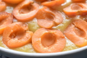 Abrikostærte - nem kage med friske abrikoser