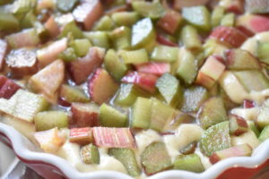 Rabarberkage med olie - nem rabarbertærte