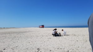 Skagen - en solskinstur på toppen