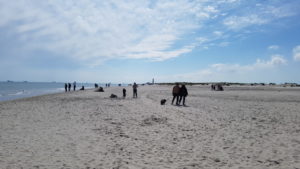 Skagen - en solskinstur på toppen