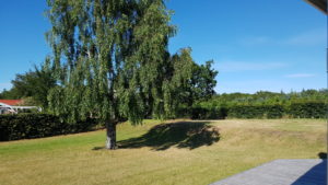 Herlig hilsen fra sommerlandet