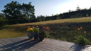 Herlig hilsen fra sommerlandet