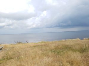2019-07-21 15.16.46 • nogetiovnen.dk Hvorfor læser du med på bloggen?