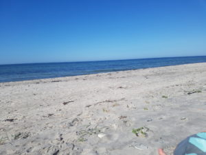 2019-07-24 17.08.16 • nogetiovnen.dk Hvorfor læser du med på bloggen?