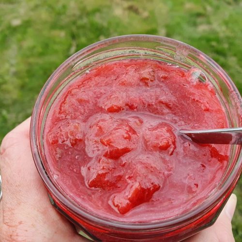 Rabarberkompot - nem kompot med rabarber