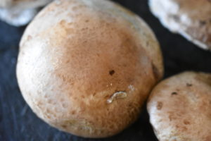 Grillede portobellosvampe med ost, hvidløg og timian