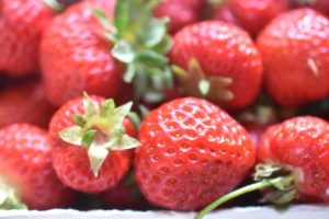 Fedtfattig jordbærkage - nem kage med jordbær