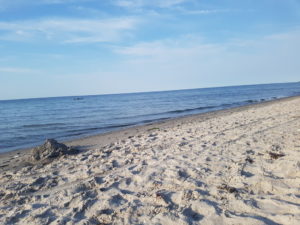 Familieeventyr i Toscana