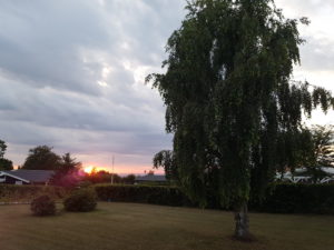 Familieeventyr i Toscana