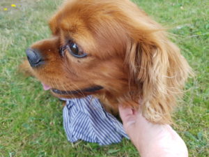 Familieeventyr i Toscana