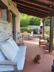 Kalle i Toscana - hunden med familien sydpå