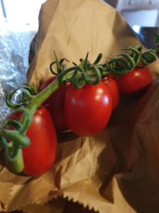 Italienske lækkerier i Toscana - ferie glimt