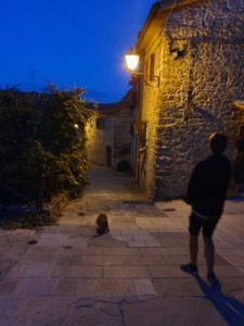 Kalle i Toscana - hunden med familien sydpå