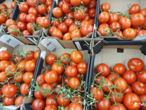 Italienske lækkerier i Toscana - ferie glimt